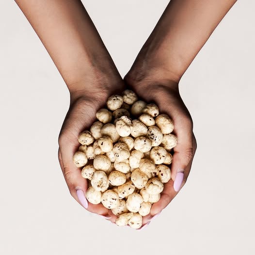 129011919 3838905302800558 3049362526611362210 n