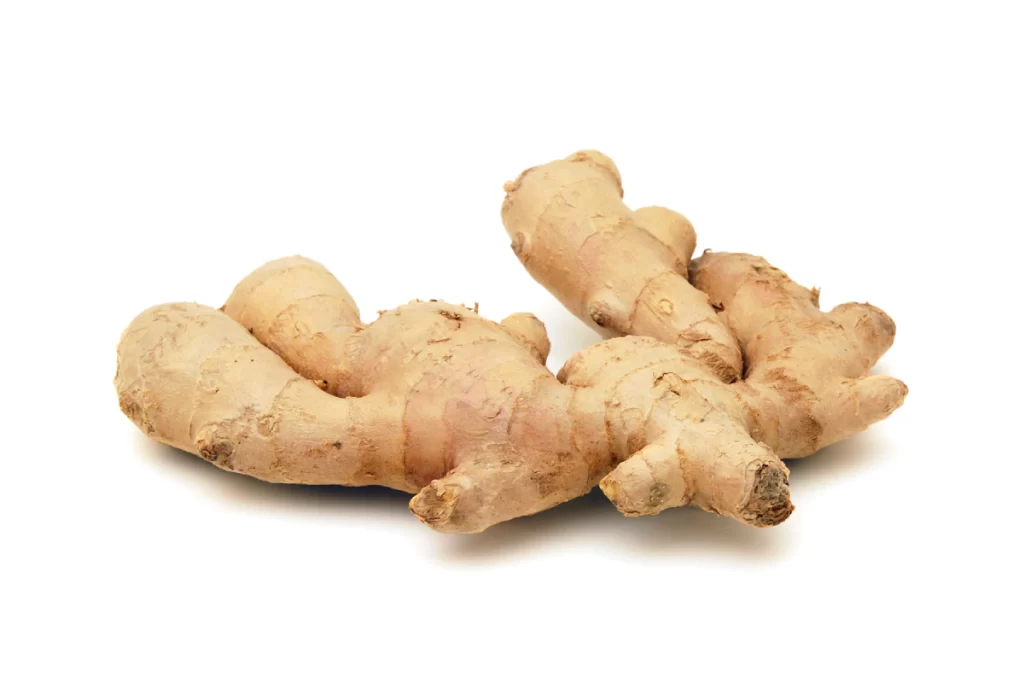 Ginger-Home
